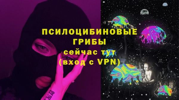 хмурый Нижний Тагил