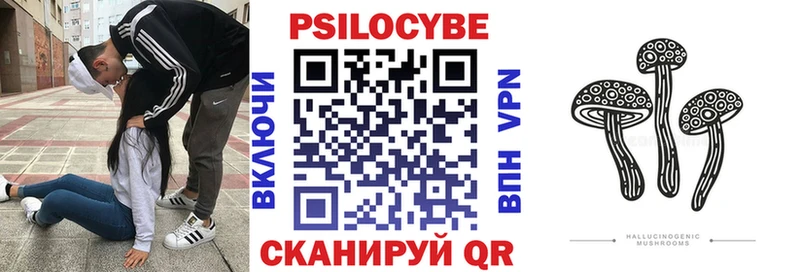 Псилоцибиновые грибы Psilocybe  где купить наркотик  Нестеровская 
